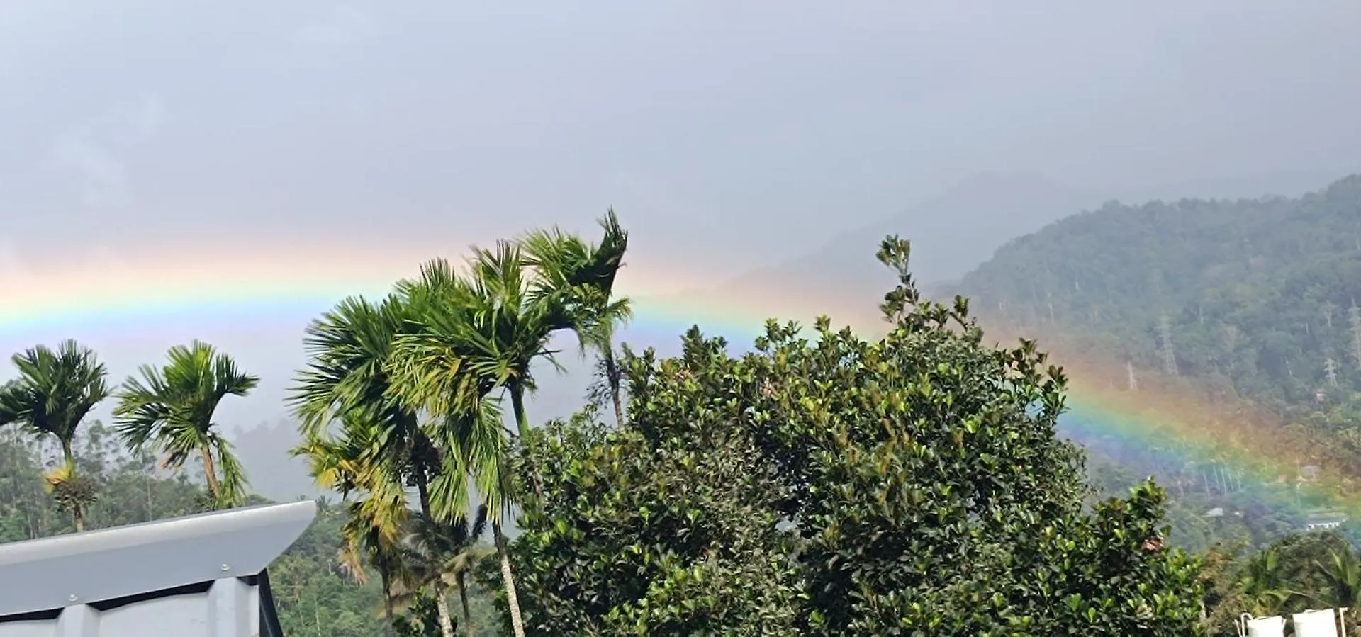 Homestay Nandana'S Residency Munnar Apartment India
